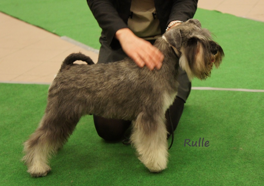 Rulle